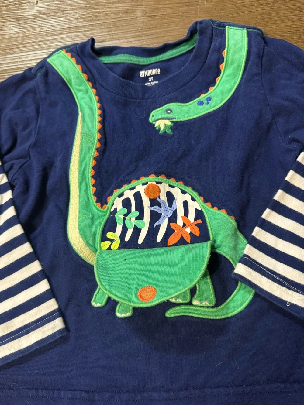 Gymboree long sleeve